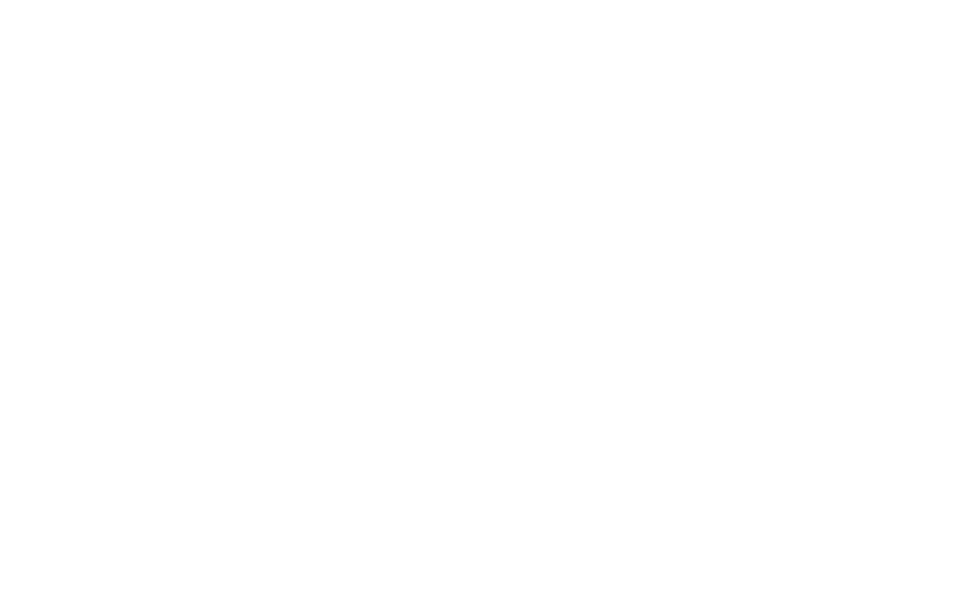 Vesta Wealth Advisors